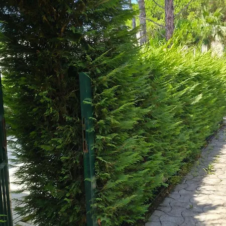 Sea Breeze Lura 3 * Drač